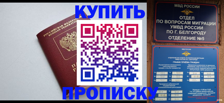 прописка регистрация в Алексине